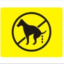 Caninos2